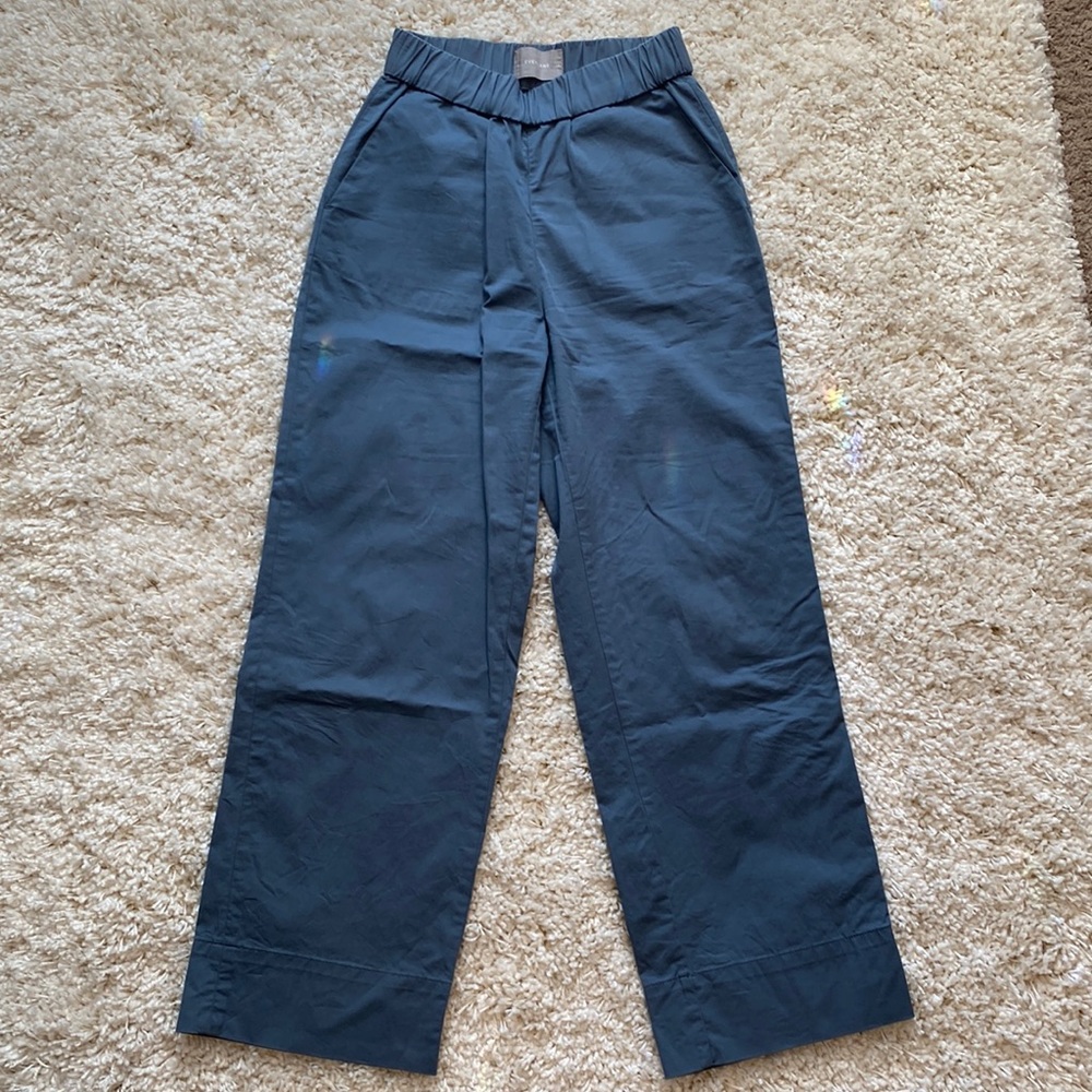 Everlane the Easy Pant Blue Size 4